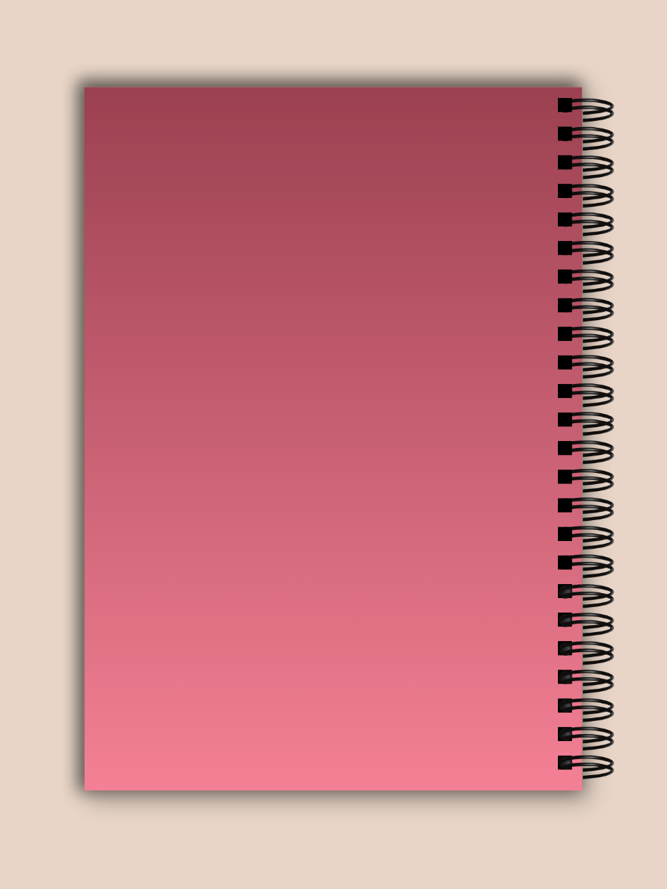 Caiet A5 - MG Office - Burn Book
